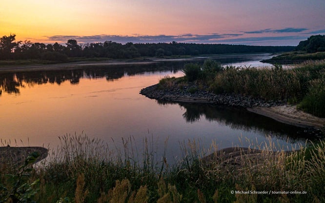 Mit dem Wohnmobil an der Elbe in Dresden