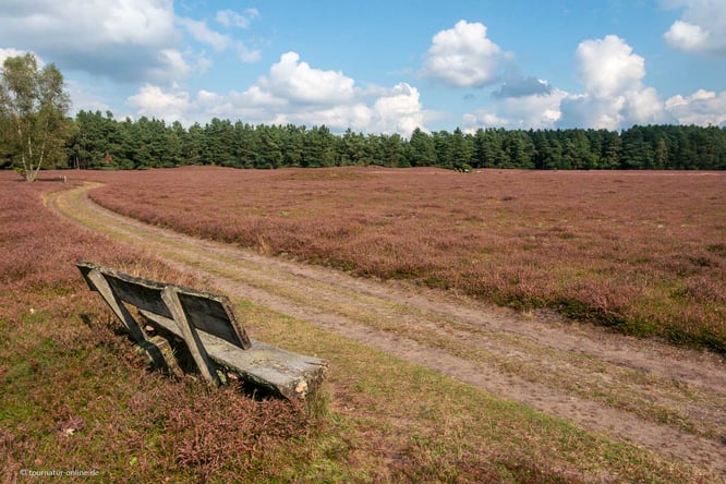 Reise durch die Lüneburger Heide