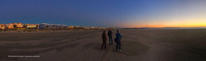 Tarifa Afrika Surfer Kiter Vogelbeobachtung Straße von Gibraltar Altstadt Markthalle