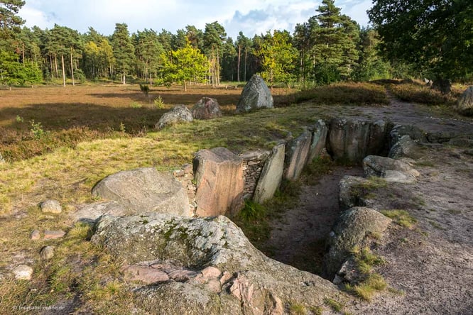 Mit dem Camper in der Lüneburger Heide