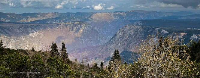Mit dem Wohnmobil im Durmitor Nationalpark in Montenegro