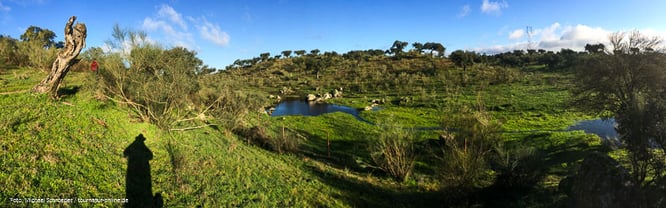 Spanien Naturpark Cornalvo Naturparadies