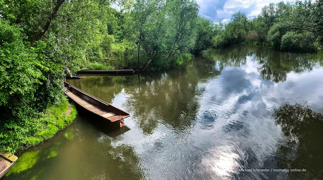 Mit dem Wohnmobil im Taubergießen