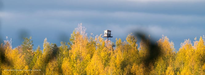 Wachtürme an der finnisch-russischen Grenze