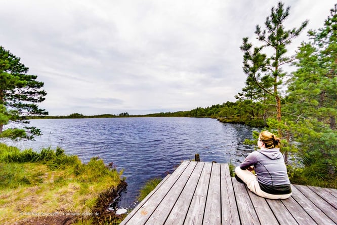 Mit dem Wohnmobil in Estland