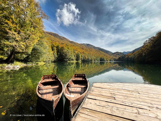 Der Nationalpark Biogradska Gora ist bekannt für seine Urwälder
