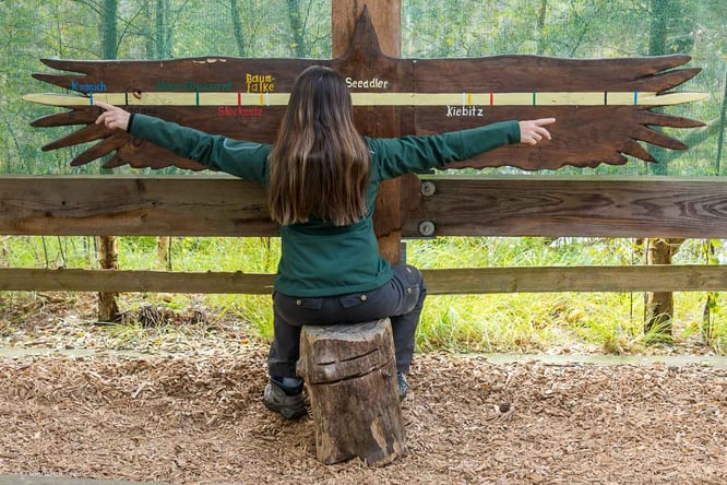 MIt dem Wohnmobil in der Lüneburger Heide