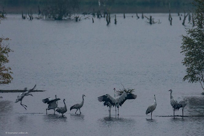 Mit dem Wohnmobil in der Lüneburger Heide