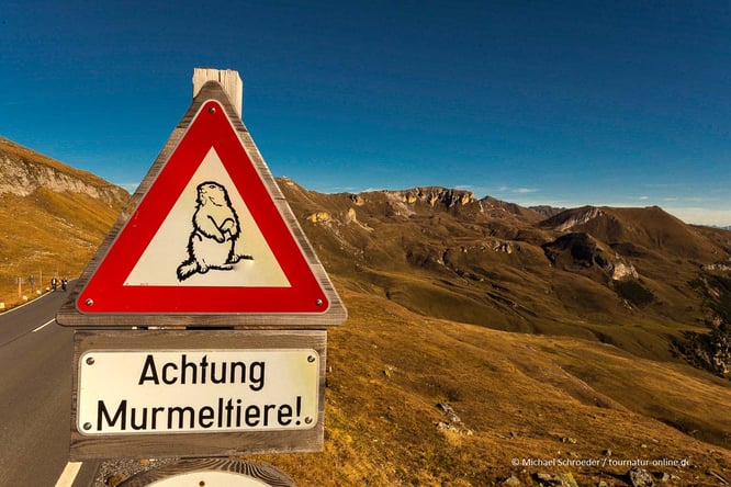 Mit dem Wohnmobil auf der Großglockner hochalpenstrasse