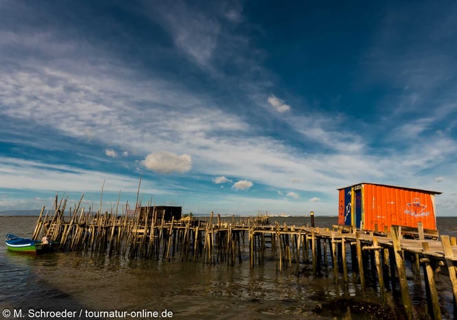 Cais Palafítico da Carrasqueira
