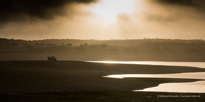 Oldtimer Wohnmobil an einem einsamen Stausee in Portugal Évora Menhir Weltkulturerbe Naturbeobachtung