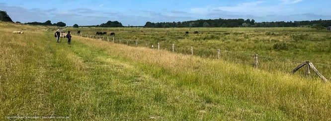 Eidersperrwerk und Naturzentrum Katinger Watt