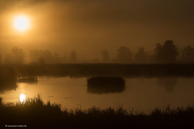 Mit dem Wohnmobil an der Oder