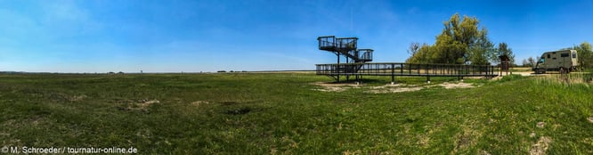 Aussichtsplattform im Slowinski Nationalpark