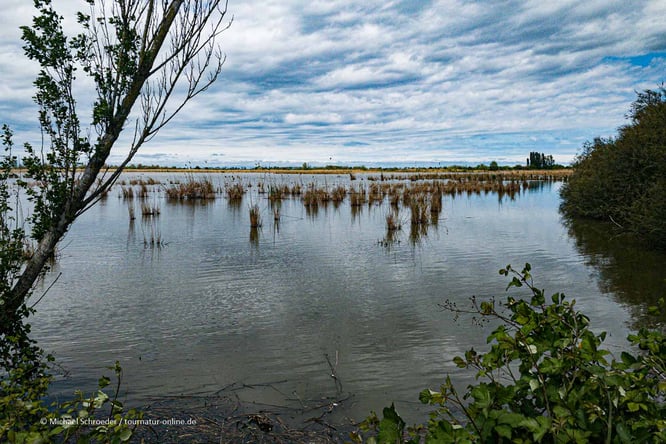 Mit dem Wohnmobil im Po-Delta