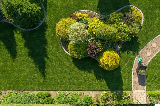 Tuin trends 2025- beplanting en vormgeving