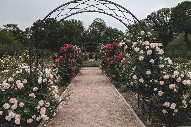inspiratie romantische tuin met rozen inrichten