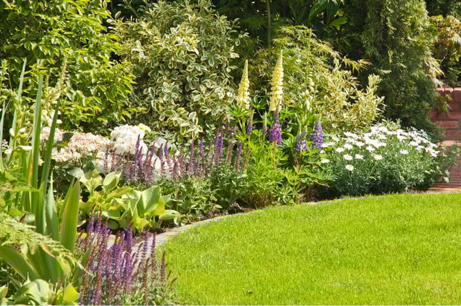 De 10 leukste tuinideeën met een groen gazon met graszoden
