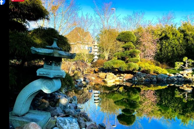 Binnenkijken in aangelegde Japanse tuin