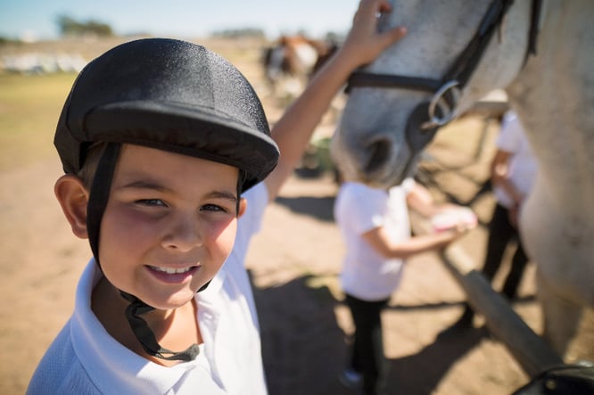 horses for kids, horse course for kids, online learning, the wild adventure girls