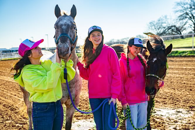 horse course, horse challenge, kids horses, online learning