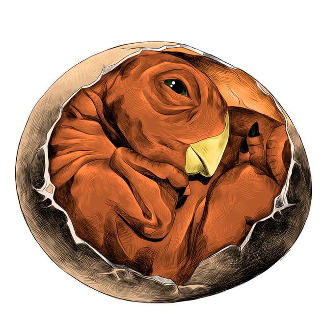 Dinosaur, Dinosaur Egg, Dinosaur Hatching, The Wild Adventure Girls