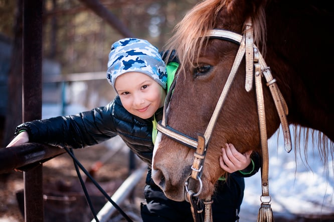 kids horse camp, horse courses for kids, horse, horses, online learning