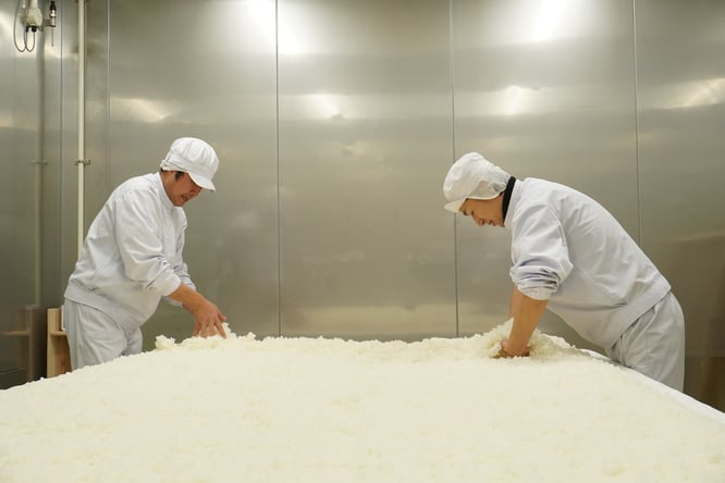 麹室で手造りの製麹を行う様子