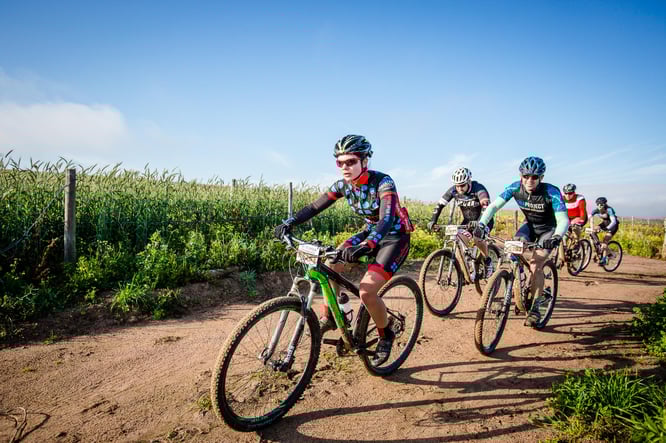 Stellenbosch MTB challenge pic courtesy of Dirtopia