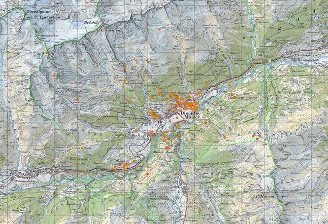 Abb. 1: Sämtliche Fundpunkte von Flechten auf dem Gebiet der Gemeinde Disentis. (Quelle: Swisstopo)