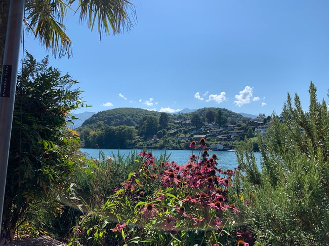 Unsere Bürg im Sommer 2021