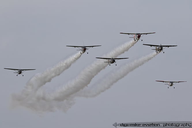 Eines der Highlights der Flugvorführungen: die "Bird Dog Patrol" der "International Bird Dog Association" mit insgesamt sechs(!) Cessna Bird Dog (Foto: Michael Schlesinger)