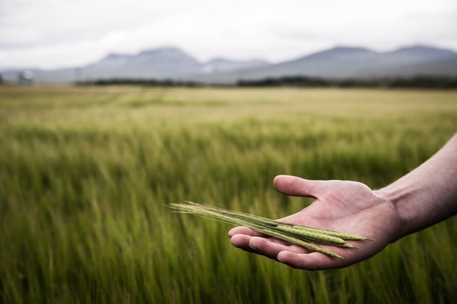 Fotocredit: Bruichladdich Distillery