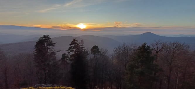 Wandern Freiluft Atelier Pfälzerwald Naturerleben Waldbaden Stille Weite Entschleunigung