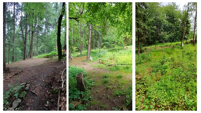 Camping Pfälzerwald, Zelten Pfälzerwald, Camping Hermersbergerhof, Zelten Hermersbergerhof, Zelt Pfalz, Waldgarten Permakultur Forest Gardening