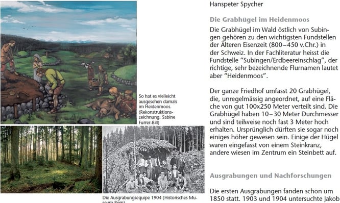 keltengräber subingen