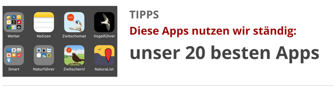 Die besten Apps für das Wohnmobil