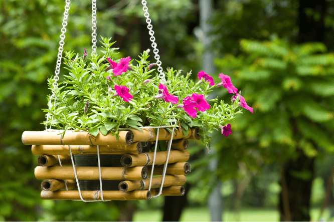 Je balkon inrichten doe je met deze 4 planten tips