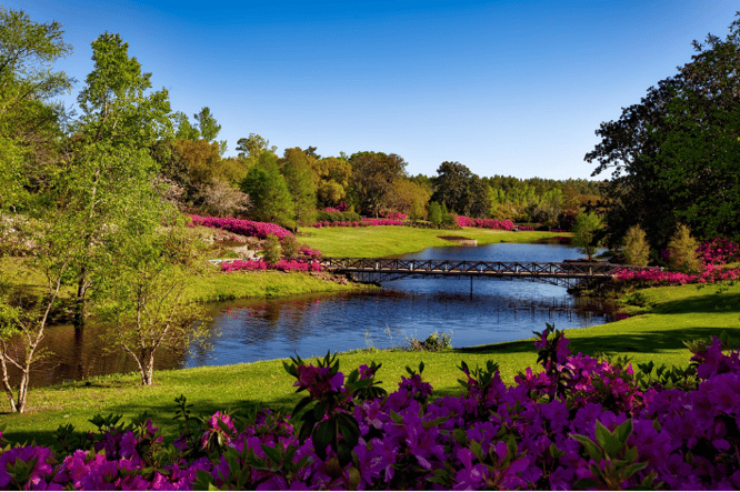 Grote tuin inrichten en gezellig maken met een vijver