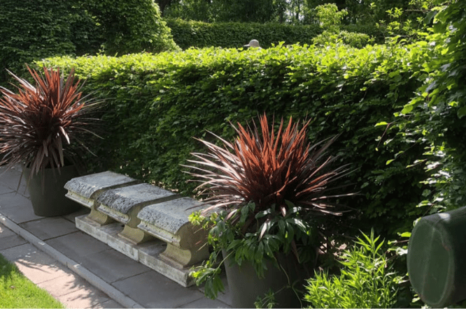 Kijkje in de tuin van Hof van eigenaardigheden