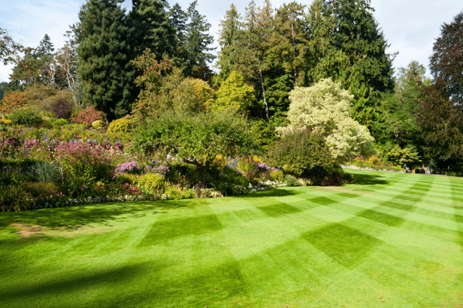 tuininrichting ideeën en inspiratie voor een grote tuin met gazon