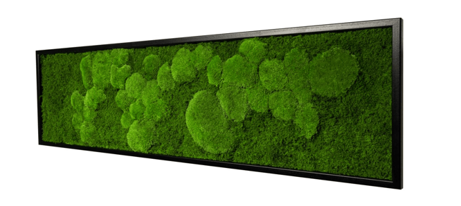 Quelle: moos-design.de