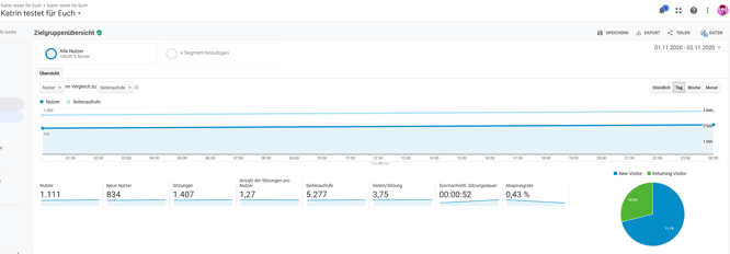 Quelle: www.google.com/analytics - 1-2 November 2020 - täglich
