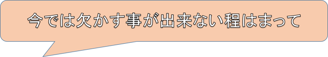 欠かす事が出来ない程はまって