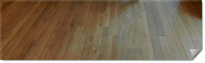 Forsthausdiele Impression