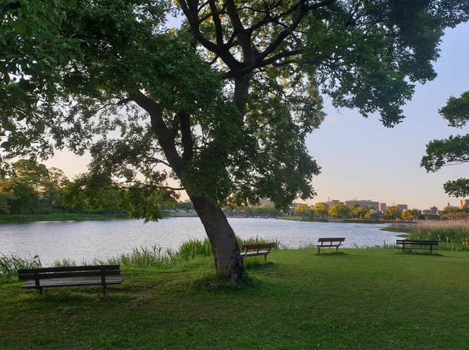 위 사진의 장소에 가시려면 우선 카페YARD를 찾아서 바로 호수로 들어가시면 됩니다. 27-21 Kuwamizuhonmachi, Higashi Ward, Kumamoto, 862-0955 / 전화번호 096-285-6591