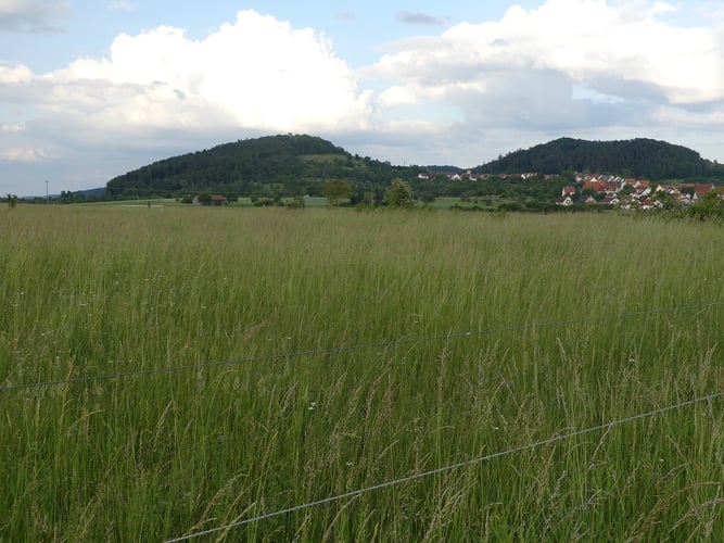 Foto: K. Kilchling-Hink