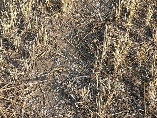 Foto: K. Kilchling-Hink