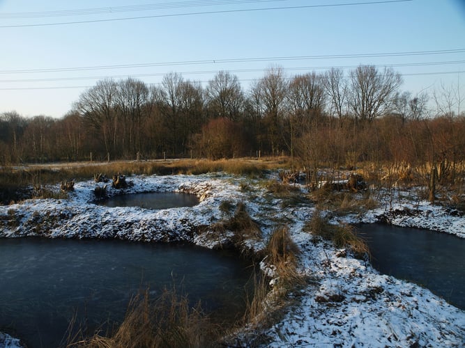 Flachskuhlen in der Bistheide (Foto: P. Wihan)