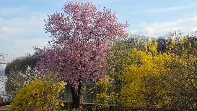 Foto: Claudia Rapp-Lange / NABU Euskirchen